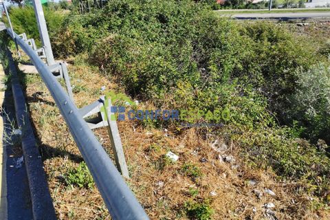 Helårsgrund i Castelo Branco, Castelo Branco, Castelo Branco - € 430.000 | Ref: 21058 - foto 8