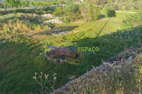 Helårsgrund i Castelo Branco, Castelo Branco, Castelo Branco - € 430.000 | Ref: 21058 - foto 9