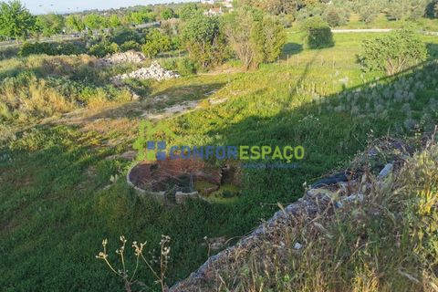 Helårsgrund i Castelo Branco, Castelo Branco, Castelo Branco - € 430.000 | Ref: 21058 - foto 10