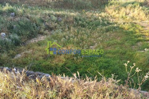 Helårsgrund i Castelo Branco, Castelo Branco, Castelo Branco - € 430.000 | Ref: 21058 - foto 11