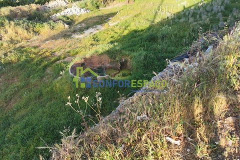 Helårsgrund i Castelo Branco, Castelo Branco, Castelo Branco - € 430.000 | Ref: 21058 - foto 13