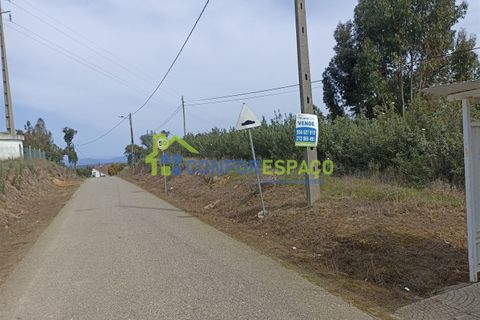 Helårsgrund i Castelo Branco, Castelo Branco, Castelo Branco - € 15.000 | Ref: 22019 - foto 25