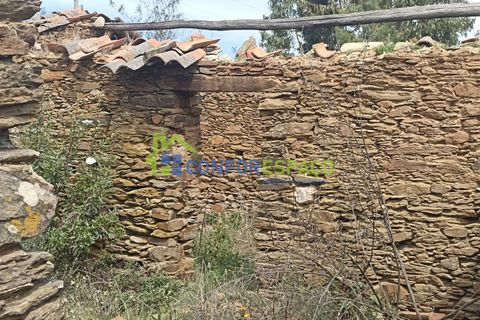 Helårsgrund i Castelo Branco, Castelo Branco, Castelo Branco - € 15.000 | Ref: 22019 - foto 27