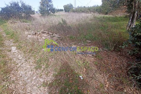 Helårsgrund i Castelo Branco, Castelo Branco, Castelo Branco - € 15.000 | Ref: 22019 - foto 28