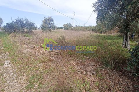 Helårsgrund i Castelo Branco, Castelo Branco, Castelo Branco - € 15.000 | Ref: 22019 - foto 29