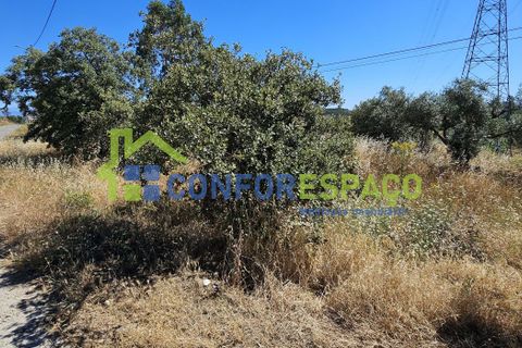 Helårsgrund i Castelo Branco, Castelo Branco, Castelo Branco - € 15.000 | Ref: 22019 - foto 6