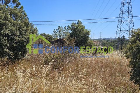 Helårsgrund i Castelo Branco, Castelo Branco, Castelo Branco - € 15.000 | Ref: 22019 - foto 12