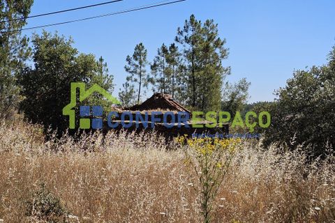 Helårsgrund i Castelo Branco, Castelo Branco, Castelo Branco - € 15.000 | Ref: 22019 - foto 14