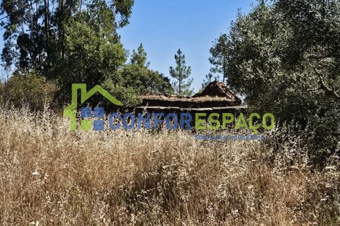 Helårsgrund i Castelo Branco, Castelo Branco, Castelo Branco - € 15.000 | Ref: 22019 - foto 15