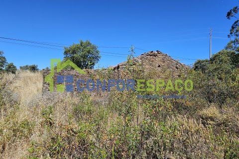 Helårsgrund i Castelo Branco, Castelo Branco, Castelo Branco - € 15.000 | Ref: 22019 - foto 16