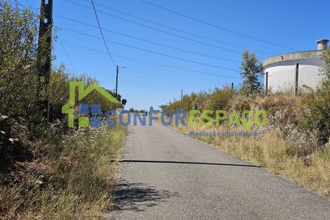 Helårsgrund i Castelo Branco, Castelo Branco, Castelo Branco - € 15.000 | Ref: 22019 - foto 17