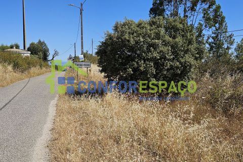 Helårsgrund i Castelo Branco, Castelo Branco, Castelo Branco - € 15.000 | Ref: 22019 - foto 18