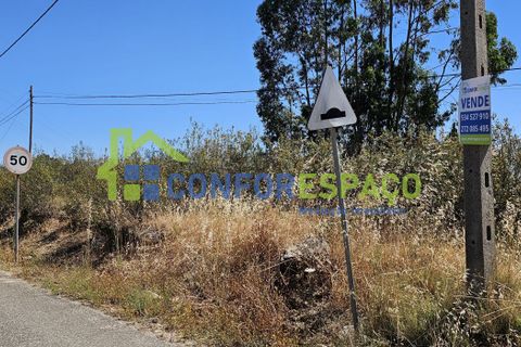 Helårsgrund i Castelo Branco, Castelo Branco, Castelo Branco - € 15.000 | Ref: 22019 - foto 20