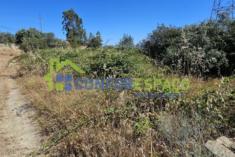 Helårsgrund i Castelo Branco, Castelo Branco, Castelo Branco - € 15.000 | Ref: 22019 - foto 22
