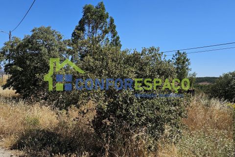 Helårsgrund i Castelo Branco, Castelo Branco, Castelo Branco - € 15.000 | Ref: 22019 - foto 23