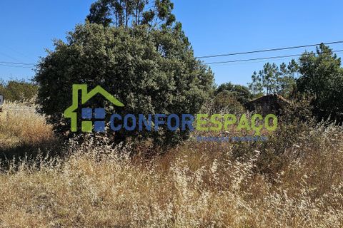 Helårsgrund i Castelo Branco, Castelo Branco, Castelo Branco - € 15.000 | Ref: 22019 - foto 24