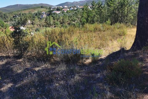 Helårsgrund i Castelo Branco, Castelo Branco, Castelo Branco - € 12.500 | Ref: 22058 - foto 1