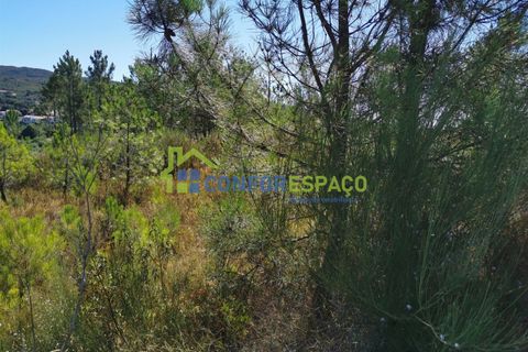 Helårsgrund i Castelo Branco, Castelo Branco, Castelo Branco - € 12.500 | Ref: 22058 - foto 4
