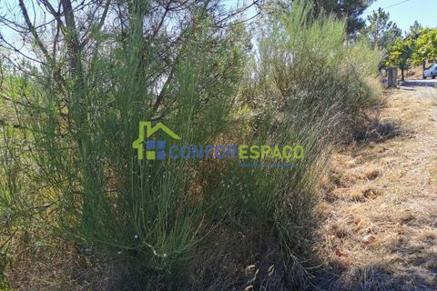 Helårsgrund i Castelo Branco, Castelo Branco, Castelo Branco - € 12.500 | Ref: 22058 - foto 5