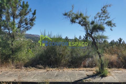 Helårsgrund i Castelo Branco, Castelo Branco, Castelo Branco - € 12.500 | Ref: 22058 - foto 7
