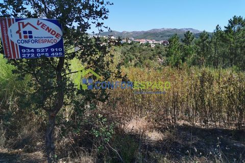 Helårsgrund i Castelo Branco, Castelo Branco, Castelo Branco - € 12.500 | Ref: 22058 - foto 8