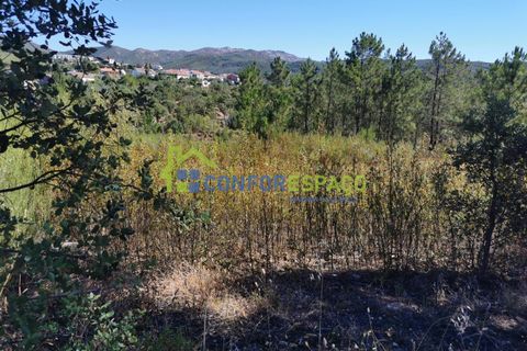 Helårsgrund i Castelo Branco, Castelo Branco, Castelo Branco - € 12.500 | Ref: 22058 - foto 9