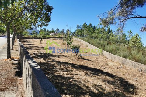 Helårsgrund i Castelo Branco, Castelo Branco, Castelo Branco - € 17.500 | Ref: 22059 - foto 1