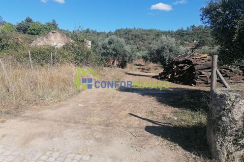 Landejendom i Castelo Branco, Castelo Branco, Castelo Branco - € 90.000 | Ref: 23065 - foto 8
