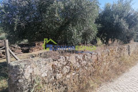 Landejendom i Castelo Branco, Castelo Branco, Castelo Branco - € 90.000 | Ref: 23065 - foto 7