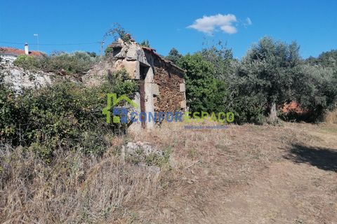 Landejendom i Castelo Branco, Castelo Branco, Castelo Branco - € 90.000 | Ref: 23065 - foto 2