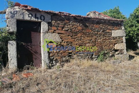 Landejendom i Castelo Branco, Castelo Branco, Castelo Branco - € 90.000 | Ref: 23065 - foto 4