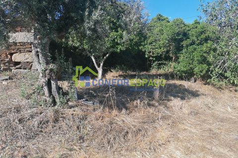 Landejendom i Castelo Branco, Castelo Branco, Castelo Branco - € 90.000 | Ref: 23065 - foto 10
