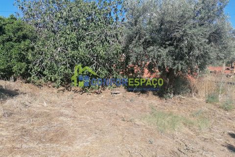 Landejendom i Castelo Branco, Castelo Branco, Castelo Branco - € 90.000 | Ref: 23065 - foto 11