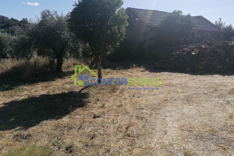 Landejendom i Castelo Branco, Castelo Branco, Castelo Branco - € 90.000 | Ref: 23065 - foto 12