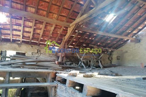 Landejendom i Castelo Branco, Castelo Branco, Castelo Branco - € 90.000 | Ref: 23065 - foto 5