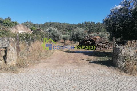 Landejendom i Castelo Branco, Castelo Branco, Castelo Branco - € 90.000 | Ref: 23065 - foto 14