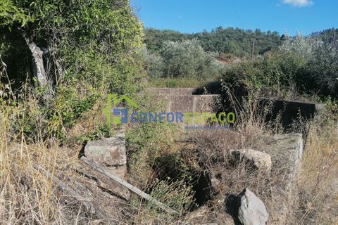 Landejendom i Castelo Branco, Castelo Branco, Castelo Branco - € 90.000 | Ref: 23065 - foto 16