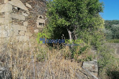 Landejendom i Castelo Branco, Castelo Branco, Castelo Branco - € 90.000 | Ref: 23065 - foto 17