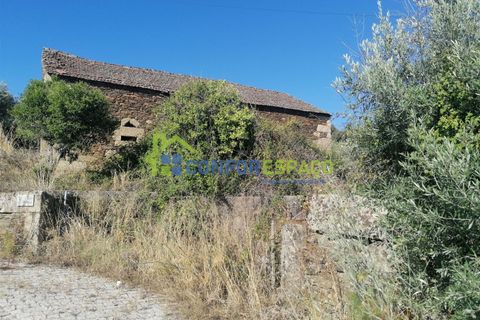 Landejendom i Castelo Branco, Castelo Branco, Castelo Branco - € 90.000 | Ref: 23065 - foto 9
