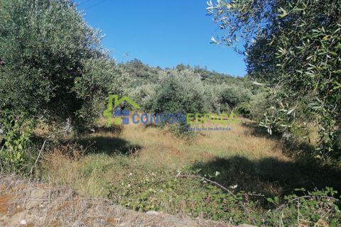 Landejendom i Castelo Branco, Castelo Branco, Castelo Branco - € 90.000 | Ref: 23065 - foto 18