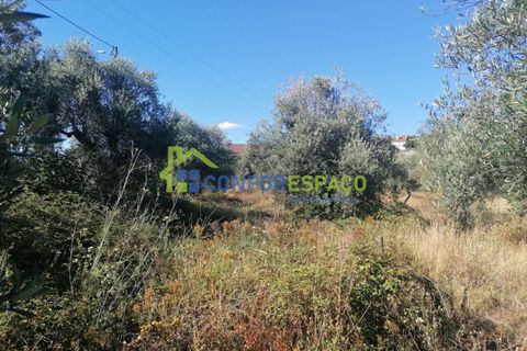 Landejendom i Castelo Branco, Castelo Branco, Castelo Branco - € 90.000 | Ref: 23065 - foto 19