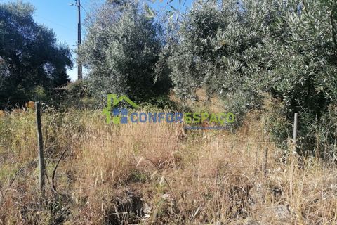 Landejendom i Castelo Branco, Castelo Branco, Castelo Branco - € 90.000 | Ref: 23065 - foto 15