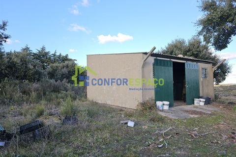 Helårsgrund i Castelo Branco, Castelo Branco, Castelo Branco - € 75.000 | Ref: 24008 - foto 2
