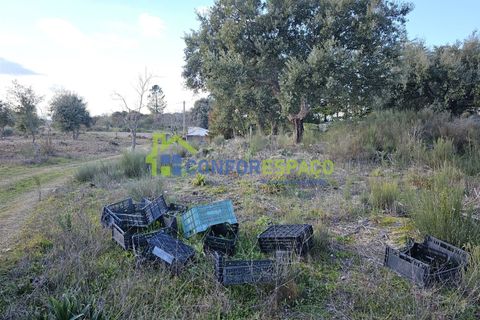 Helårsgrund i Castelo Branco, Castelo Branco, Castelo Branco - € 75.000 | Ref: 24008 - foto 6