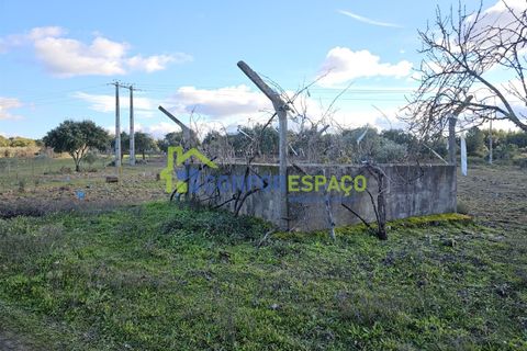 Helårsgrund i Castelo Branco, Castelo Branco, Castelo Branco - € 75.000 | Ref: 24008 - foto 7