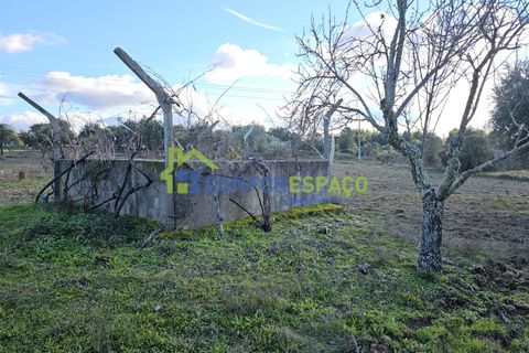 Helårsgrund i Castelo Branco, Castelo Branco, Castelo Branco - € 75.000 | Ref: 24008 - foto 8