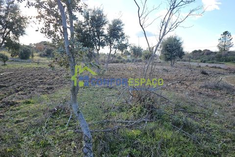 Helårsgrund i Castelo Branco, Castelo Branco, Castelo Branco - € 75.000 | Ref: 24008 - foto 9