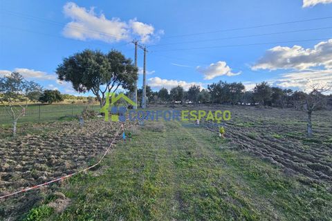 Helårsgrund i Castelo Branco, Castelo Branco, Castelo Branco - € 75.000 | Ref: 24008 - foto 10