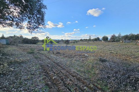 Helårsgrund i Castelo Branco, Castelo Branco, Castelo Branco - € 75.000 | Ref: 24008 - foto 11
