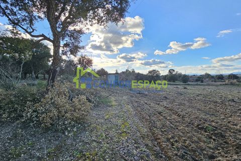 Helårsgrund i Castelo Branco, Castelo Branco, Castelo Branco - € 75.000 | Ref: 24008 - foto 12